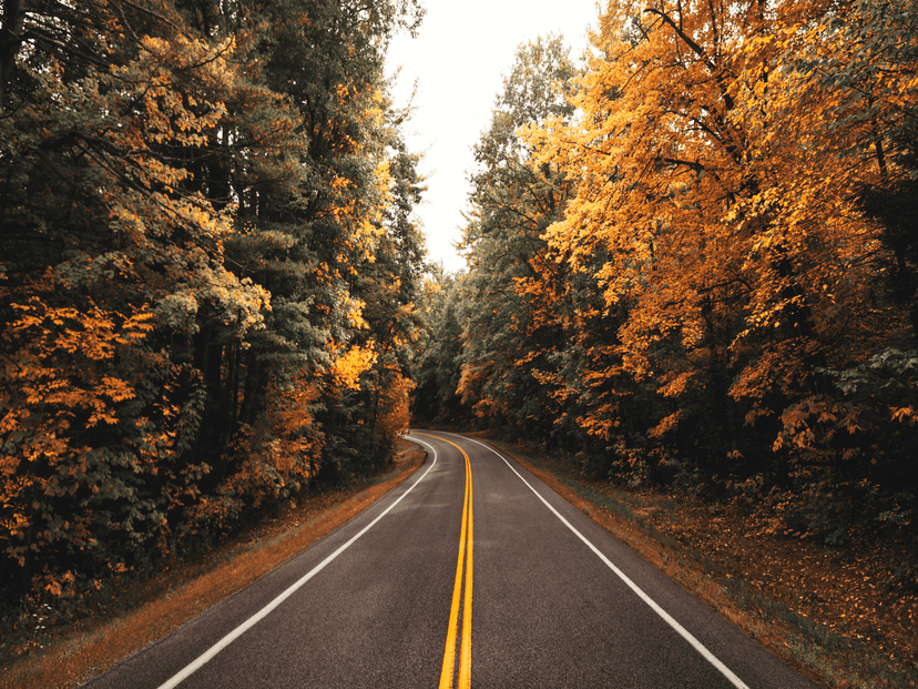 Master Autumn Rides: Essential Tips for a Smooth Season 