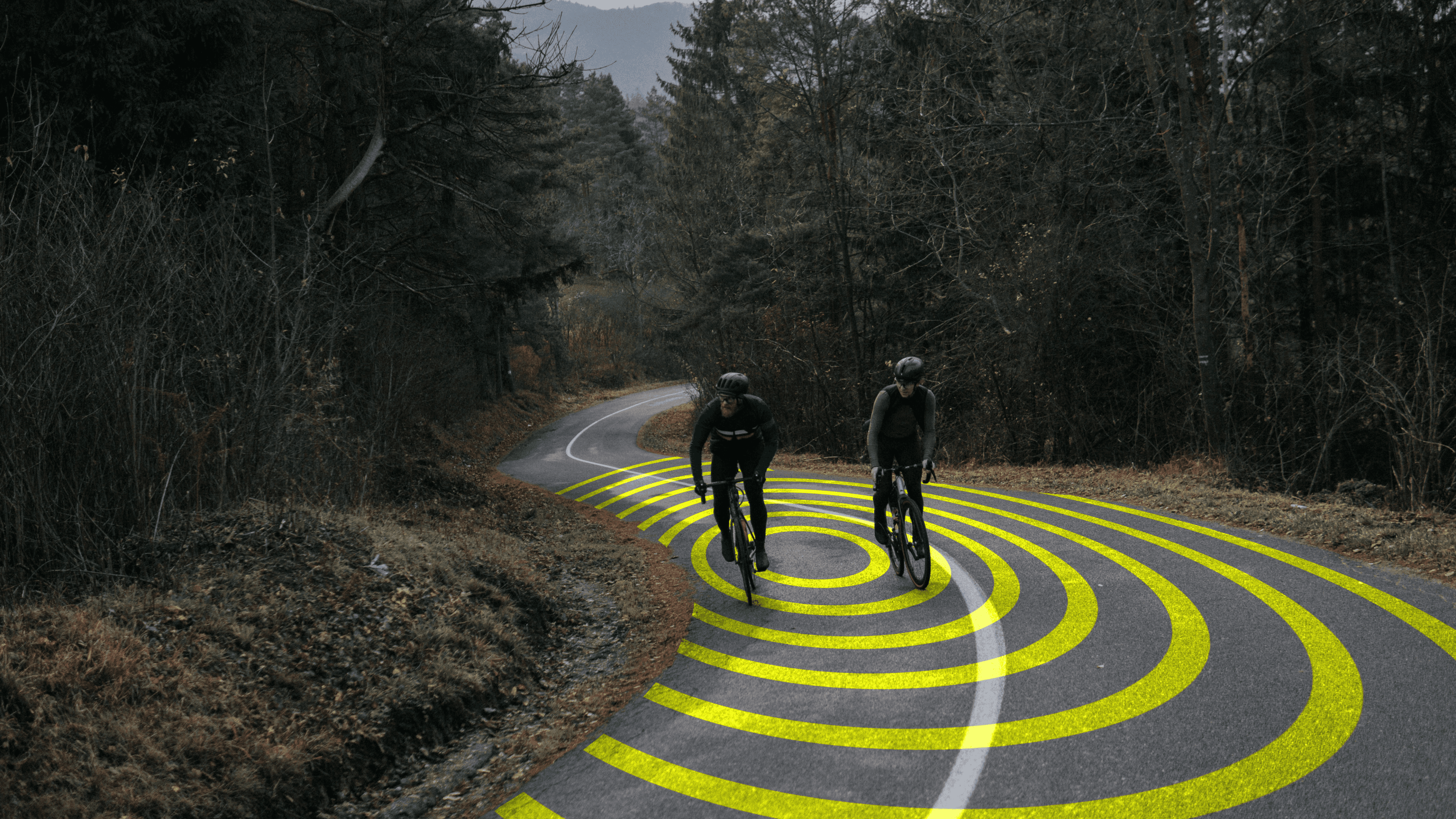 10 cycling safety tips every rider should know